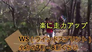 【走力アップ方法】走る基本、動き作りについて、持久力をつける/長距離が速くなるフルマラソンが速くなる/サブスリーしたい方/体力アップロードランナー、トレイルランナー不問の内容です。