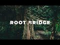 THE MYSTERIOUS ROOT BRIDGE IN CHERRAPUNJI | Meghalaya Web Series | North East India | EP 4