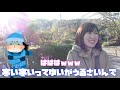 【野鳥撮影】早朝に探鳥♪可愛い小鳥！エナガ撮り放題！？