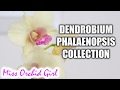 My Dendrobium Phalaenopsis Orchid collection