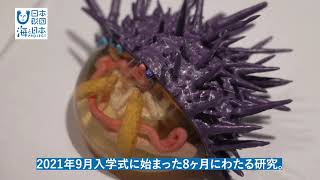 3D×海洋研究×中学生！大人顔負けの研究成果を発表！