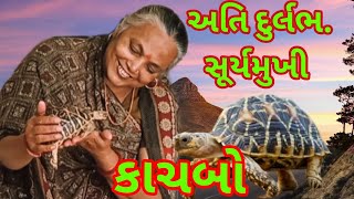 કાચબો 😀 . Part- 3 . શારદા પ્રજાપતિ.#bhajan #gujratibhajan #kirtan #trending