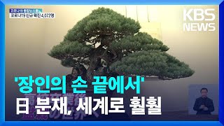 일본, 분재 장인이 표현한 시간을 뛰어 넘는 나무의 생명력 / KBS  2022.01.18.