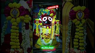 ହାଏ ରେ ମୋ କଳା କାଞ୍ଚନ #odiabhjan #wahtsapp_status #odia #jayjagannath