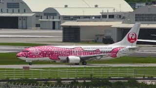 日本トランスオーシャン航空 737-446(JA8992) 那覇空港2016年6月9日