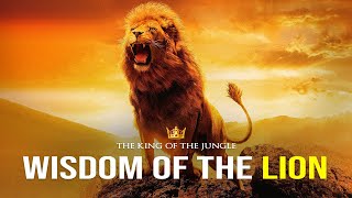 Wisdom Of The Lion - Powerful Motivational Video