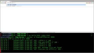Setup a Webserver with Python Linux Tutorials clip13