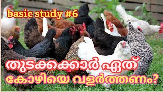 Which chicken should the farm owners start raising?കോഴിയെ തെരെഞ്ഞെടുക്കുമ്പോൾശ്രദ്ധിക്കേണ്ടകാര്യങ്ങൾ