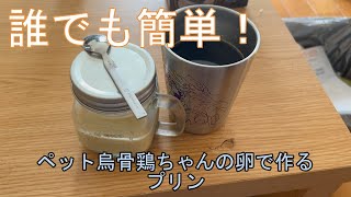 【無料級】誰でも簡単！ペット烏骨鶏ちゃんの卵で作るガバガバプリン