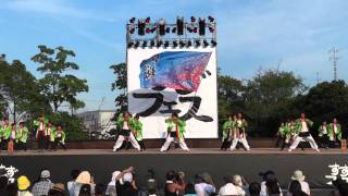 波桜（すずフェス2011）