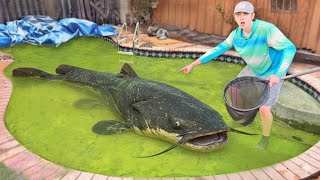 I Found a Abandoned Pool Filled with Monster Fish!