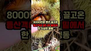 8000만원 벤츠 타고 온 등산객이 시골 집앞 밤나무 밑에서 한 수상한 행동