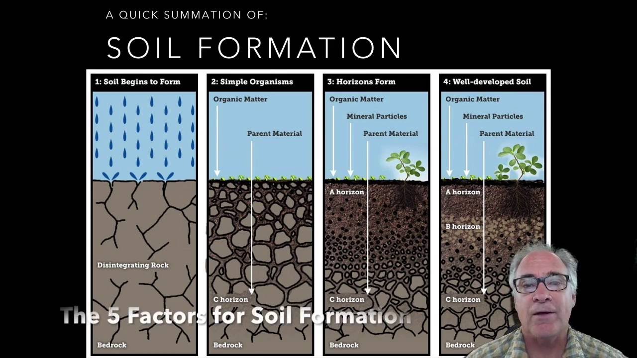 Soil Formation Steps