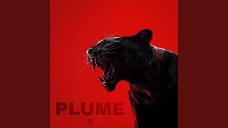 PLUME