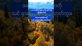 စိတ်ဓာတ်ခွန်အားဖြည့်စာတို #motivation #shortvideo #youtubeshort #shorts #ရွှေစကား #goldenwords