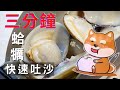 三分鐘蛤犡快速吐沙｜廚房烹飪小技巧