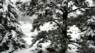 First snowfall of 2010 at Edina, Minnesota.