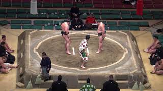 克乃富士-朝興貴/2018.1.22(22)/katsunofuji-asakoki/day9 #sumo