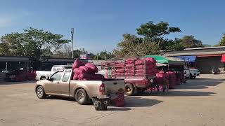 เชคราคาขายส่งหอมแดงวันขึ้นปีใหม่ 1-1-68 ที่ตลาดขายหอมแดงที่ใหญ่ที่สุดในประเทศไทยคึกคักหรือไม่ไปดูกัน