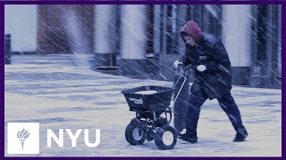 How NYU Tackles Snow