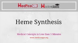 Biosynthesis of  HEME  AIIMS , NEET PG , DNB Exam