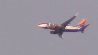 Plane Zooms - 2/19/25