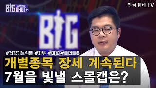 개별종목 장세 계속된다 7월을 빛낼 스몰캡은? / 최성민의 빅샷+ / 김상표 키움증권 성장기업분석팀장 / 한국경제TV