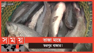 মাছ নিয়ে কাড়াকাড়ি! | Fish Market | Business News