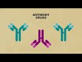 how next generation antibody engineering is changing medicine synbiobeta spotlight