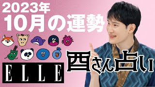 【2023年10月の運勢】8万人を鑑定した暮れの酉が鳳凰数術で占う｜心のリトリート“酉さん占い“｜ ELLE Japan