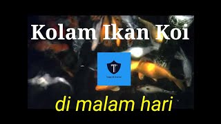 Keindahan Kolam Ikan Koi di malam hari