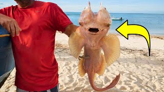 Scientists JUST Confirmed That a Fisherman Caught a New Deep Sea Creature That Can Change Its Shape!