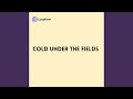 Cold under the Fields