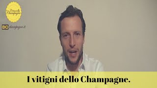 I VITIGNI DELLO CHAMPAGNE