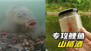 山查酒釣魚真的有那麽厲害？水下測試揭露真相，實踐證明真實有效