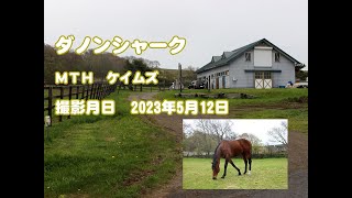 ダノンシャーク近況報告(2023年5月撮影)