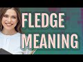 Fledge | meaning of Fledge