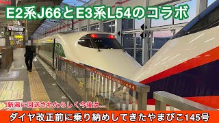 【ありがとう】定期運用終了まじかのE2系J66編成に乗車したら、併結相手はまさかのL54編成!!「やまびこ・つばさ145号」