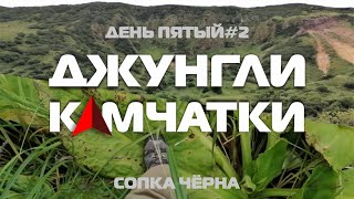 ДЖУНГЛИ КАМЧАТКИ! #деньпятый - вторая часть