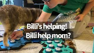 You Can’t Leave Yet Mom, We Have New Buttons! | BilliSpeaks