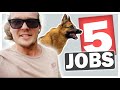 5 jobs I give my dog