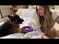 watch my german shepherd speak his own unique language