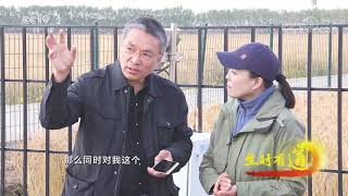 《生财有道》 20191206 咱们家乡有特产 鸭绿江畔稻谷香| CCTV财经