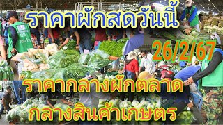 ราคาผักล่าสุดวันนี้ ราคากลางผักล่าสุดวันนี้ 26/2/67