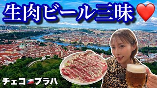 ビール消費量世界一！体調激悪なのに生肉もいっちゃって大丈夫そ？【プラハ•チェコ】#139