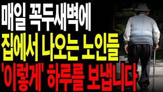 새벽 4시 집을 나서는 노인들이 하루를 보내는 법 | 세상 사는 이야기 | 삶의 지혜 | 행복한 노후 | 오디오북