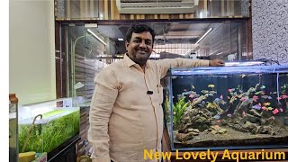 New Arrivals #aquariumfish  #aquariumplants & aquarium with  sump & At | #New Lovely Aquarium kalyan