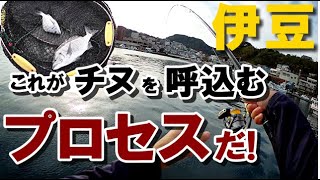 寒チヌシーズン到来、紀州釣りの攻略プロセスをお届けします【クロダイ（チヌ）釣り】