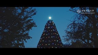 【AOGAKU MOVIE】Aoyama, Candle Christmas もみの木ver.