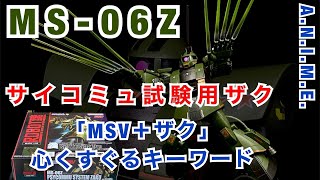 【GUNPLA 3rd】MS-06Z サイコミュ試験用ザクをいじってみた 「MSV＋ザク」っていいよねぇ【高機動型ザクⅡが1番好き】